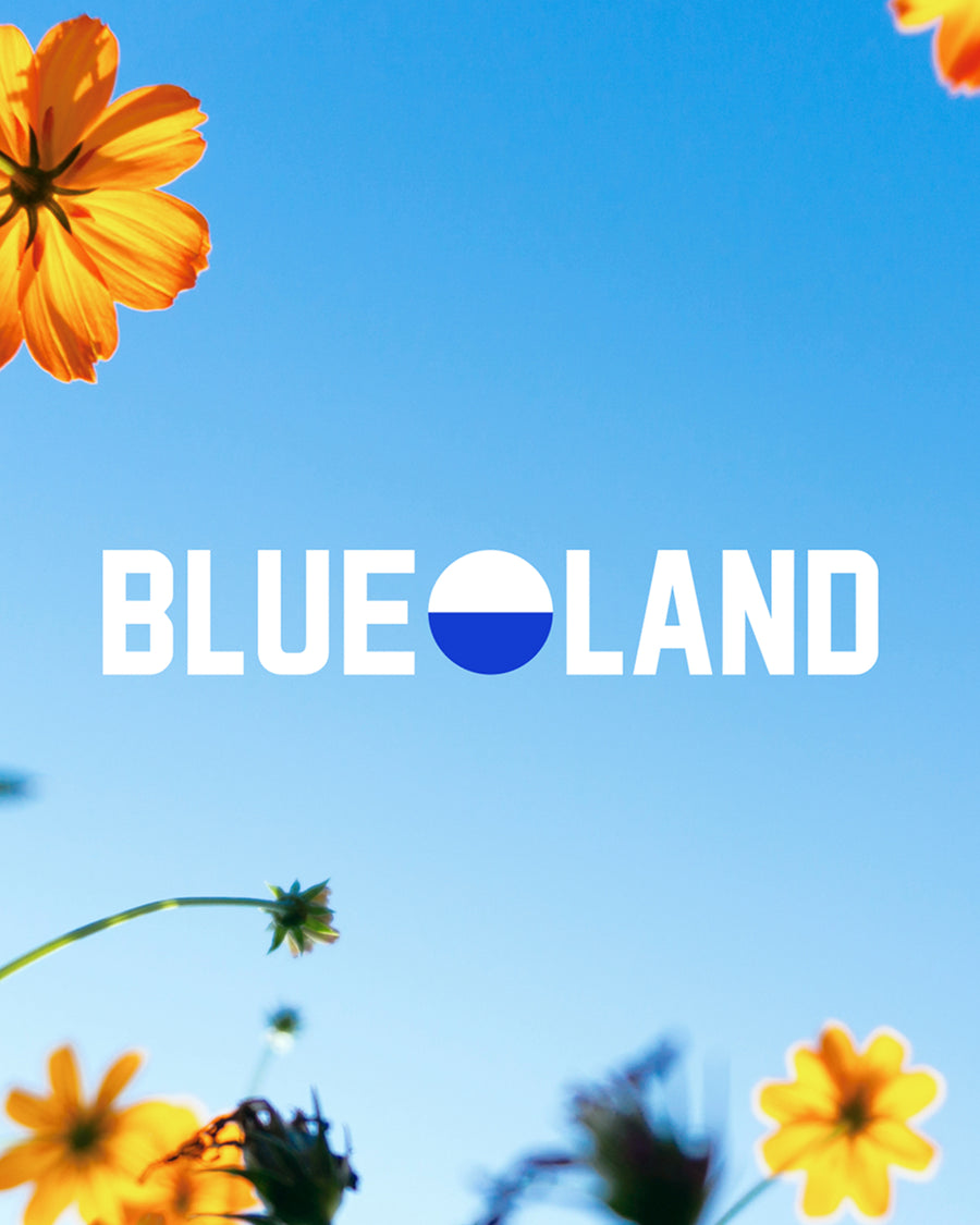 Blueland cleaning kit on a shelf surrounded by plants